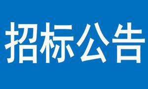 文达•碧城府住宅小区建设项目建筑垃圾清理外运 竞争性磋商公告